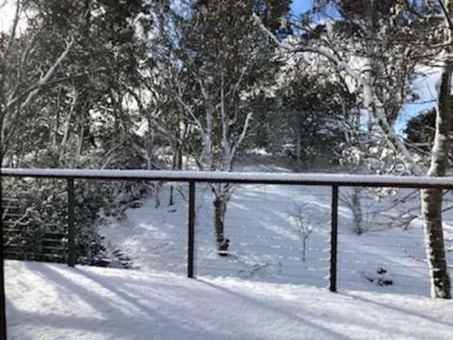 Narrow Neck Views - Peaceful 4 Bedroom Home With Stunning Views! Katoomba Bagian luar foto