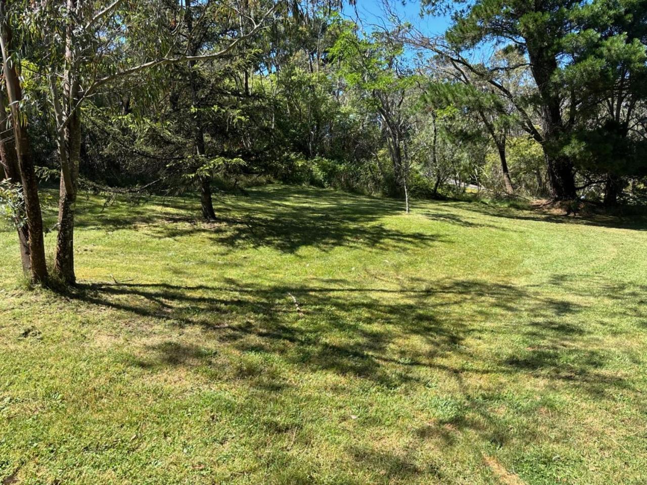 Narrow Neck Views - Peaceful 4 Bedroom Home With Stunning Views! Katoomba Bagian luar foto